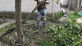 Stihl | GTA 26 | трохи по різали дерева в селі