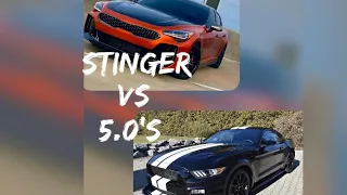 Kia stinger Vs Mustang 5.0’s