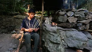 Solo Bushcraft: Build a shelter in the rainforest. The cat has a new friend in the forest - Day 87