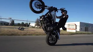 Harley Dyna Wheelies, burnouts, drifting and more