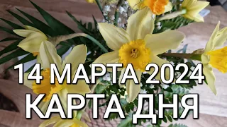 14 марта 2024 | карта дня | все знаки зодиака 🃏🍀💫