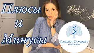 ПМГМУ имени Сеченова|Косяки и Плюшки|Клиническая психология|Всё о факультете