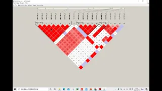 Demo of Haploview