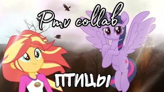 PMV - птицы (Collab)