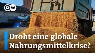 Warum die EU teilweise Getreideexporte aus der Ukraine blockiert | DW Nachrichten