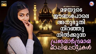 മഴയുടെ ഈണംപോലെ അനുഭൂതി നിറഞ്ഞുനിൽക്കുന്ന പ്രണയാർദ്രമായ മാപ്പിളപ്പാട്ടുകൾ |  #mappila #songs