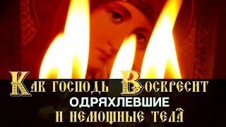 Существуют духи умерших людей? Николай Сербский