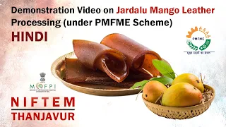 Demonstration Video on Processing of Jardalu Mango Leather Processing (under PMFME Scheme)  - HINDI