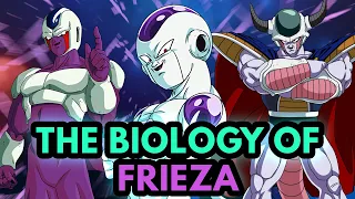 Frieza's Race Explained! - DB Discussion