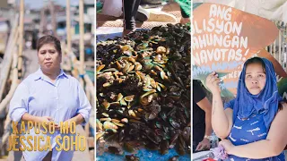 Jessica Soho, siniyasat ang isyu ng demolisyon ng tahungan sa Navotas | Kapuso Mo, Jessica Soho
