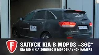 Запуск Kia Rio и Kia Sorento Prime в мороз -36 градусов. Испытание автомобилей в морозильной камере