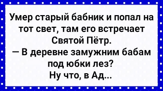 Умер Старый Бабник и Попал в Ад! Сборник Свежих Анекдотов! Юмор!