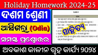 Class 10 holiday homework odia question answer 2024