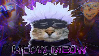 Edit/Meow Meow__Do you love me in cat?