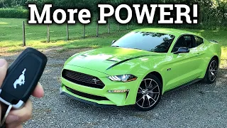 NEW 2020 Ford Mustang High Performance Turbo | Old V8 KILLER?!