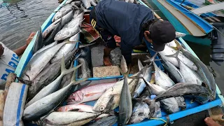 REKOR TERBANYAK‼️ IKAN BERSERAKAN DIATAS PRAHU || CUKUP MENGGUNAKAN ROD KECIL SALTIGA PE 1.0- 2.0