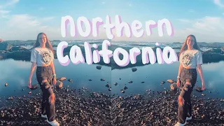 pacific coast highway road trip: northern california (vloglist ep.9)