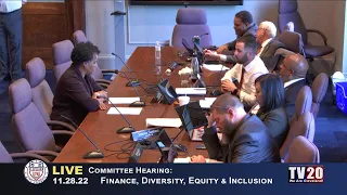 Finance, Diversity, Equity and Inclusion Committee, November 28, 2022