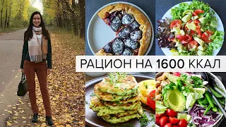 МЕНЮ НА ДЕНЬ 1600 ккал: Завтрак, Обед, Ужин! ПП Рацион на День 🍎 Правильное Питание