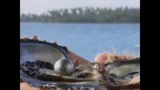 La perla de Tahiti documental de Patrick Voillot