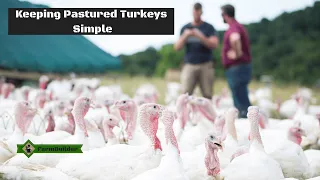 Keeping Pastured Turkeys Simple - Practical Farmers of Iowa Conference #pasturedpoultry #turkey