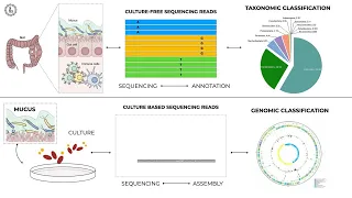 Free Webinar on Metagenomics - Helix Biogen Pine Biotech