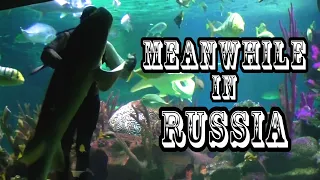 Meanwhile in Russia Compilation || Funny Videos