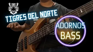 Tigres del Norte Bass Embellishments - Electric Bass Tutorial