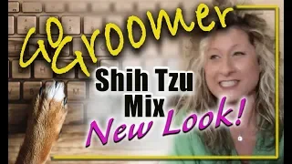 New Look!-Shih Tzu mix