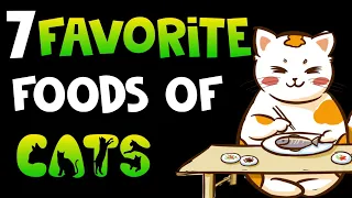 7 favourite foods of cats | Human's food ,cats loves to eat