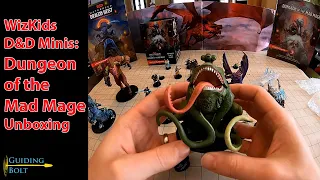 D&D Wizkids Miniatures Unboxing - Dungeon of the Mad Mage