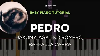 Pedro (Jaxomy, Agatino Romero, Raffaella Carrà) | EASY Piano Tutorial by ST