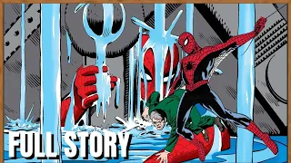 Steve Ditko/Stan Lee The Amazing Spider Man Full Story