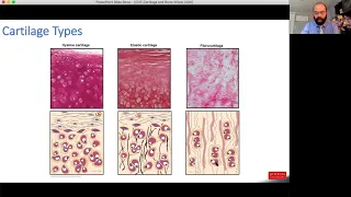 COT Cartilage and Bone