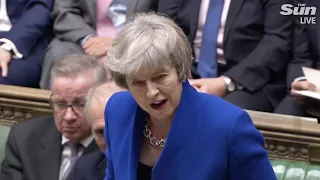 Theresa May survives vote of no confidence