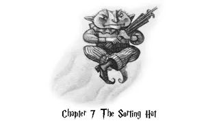 Harry Potter And The Sorcerers Stone Audiobook Chapter 7 The sorting hat