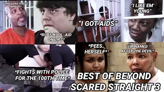 Best of Beyond scared straight part 11-15