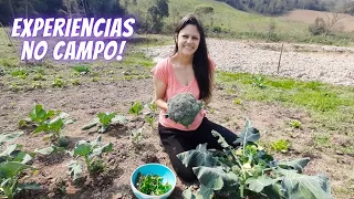 Como é a Vida no Campo?