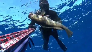 SPEARFISHING EXTREME ☠️🐠🐡MEDITERRANEAN SPECIES - IONIAN SEA. ΨΑΡΟΝΤΟΥΦΕΚΟ, ΜΕΣΟΓΕΙΑΚΆ ΘΗΡΆΜΑΤΑ