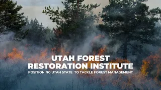 Utah Forest Restoration Institute