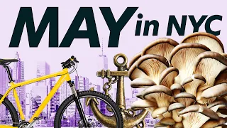 6 FREE Things to do in NYC | May 2023 Edition