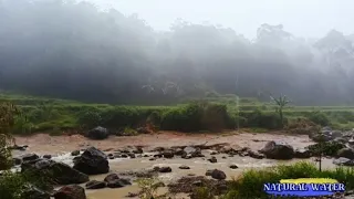 relaxing rain noise, forest stream, water sounds for sleeping.