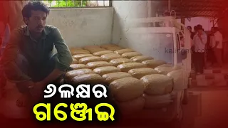 Excise Department Seizes Ganja Worth Rs 6 lakh from Pickup truck In Khordha || Kalinga TV