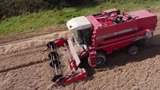 Massey Ferguson 32 auto level