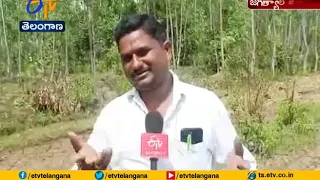 Forest is Gradually Declining by Occupiers | officers Showing Negligence Protect Forest | Jagityal