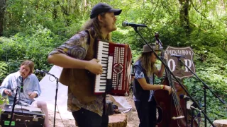 Daniel Norgren - Everything You Know Melts Away... - Old Growth Sessions @Pickathon 2016 S01E05