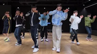 TREASURE - DARARI Dance Practice Mirrored