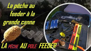 🎥🎞Mon approche pour la Pêche au Pole Feeder 🤟💪 La pêche au feeder à la grande canne 💪