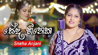 Seda Heeneka |  Sneha Anjani | Official MV | Music by Darshana Wickramatunga