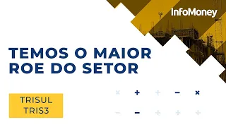 Trisul (TRIS3): saiba todos os detalhes dos resultados da empresa em entrevista com CEO